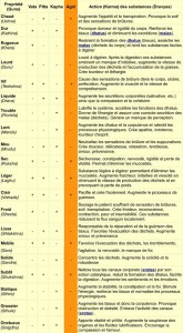 les 20 attributs pour le diagnostic ayurvedique