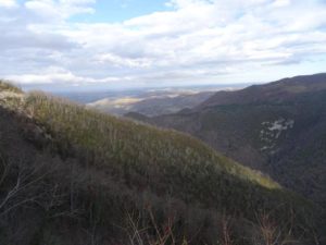 Shiatsu-Riz-Loubetas_2018 01-05