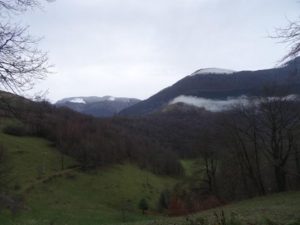 Shiatsu-Riz-Loubetas_2018 01-07
